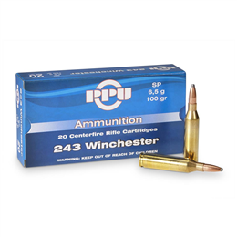 Winchester 243 Winchester 243